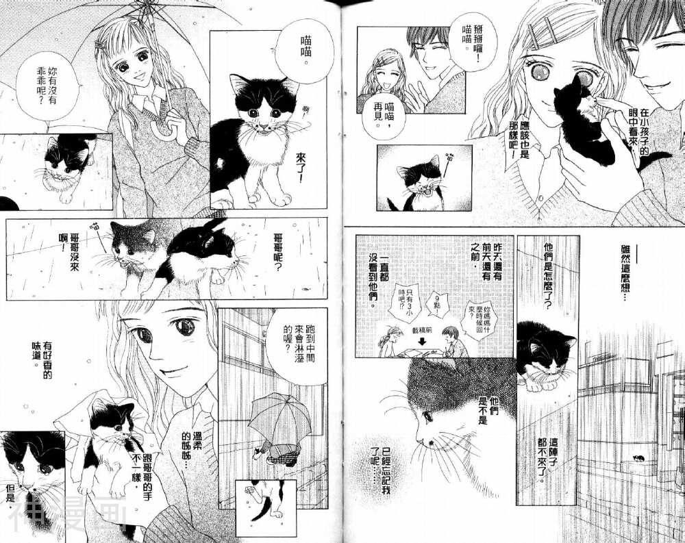 茶茶的日常生活韩漫全集-第4卷无删减无遮挡章节图片 