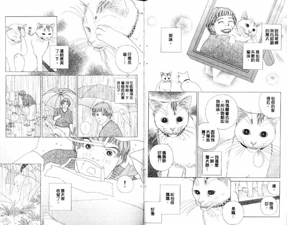 茶茶的日常生活韩漫全集-第5卷无删减无遮挡章节图片 