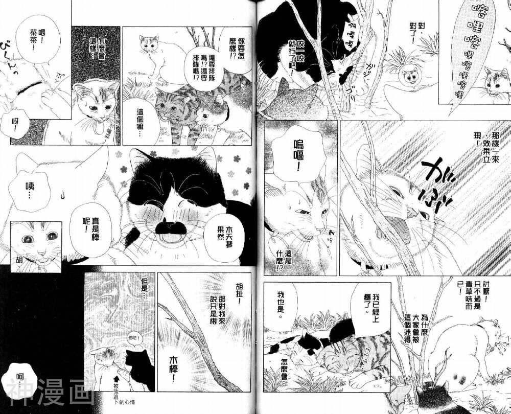茶茶的日常生活韩漫全集-第5卷无删减无遮挡章节图片 