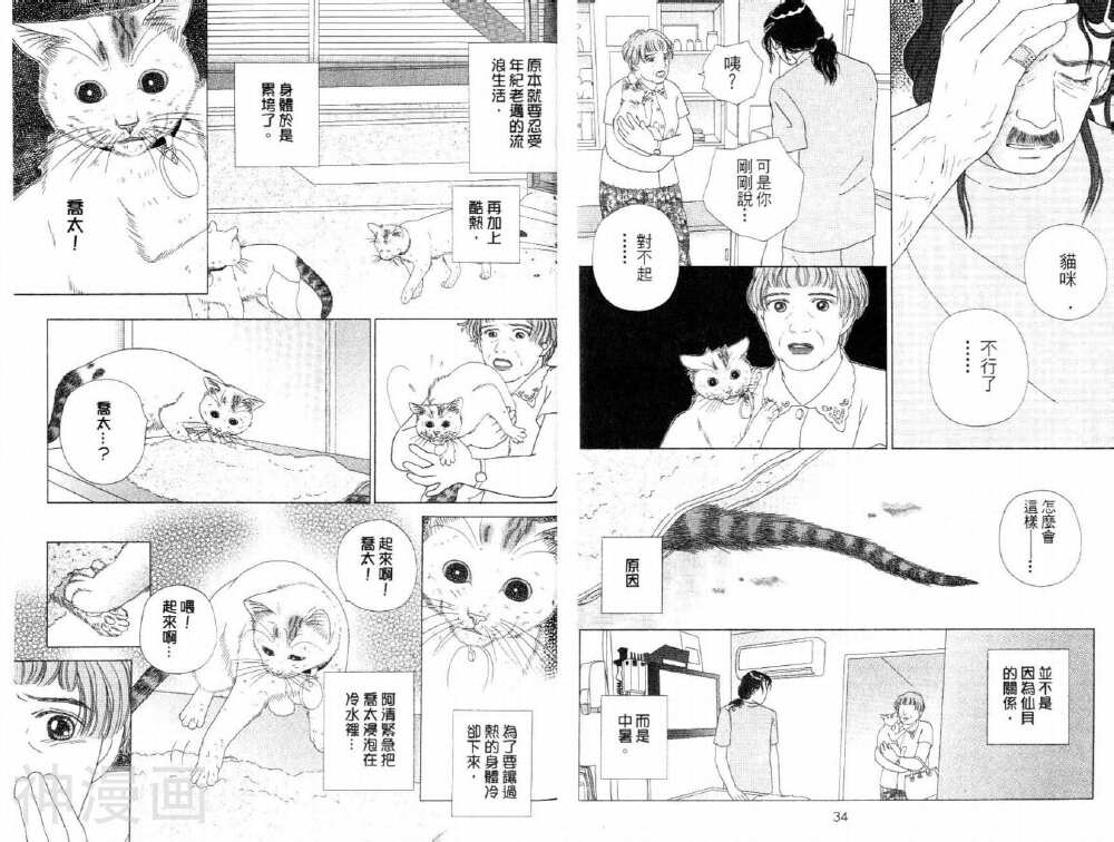 茶茶的日常生活韩漫全集-第6卷无删减无遮挡章节图片 