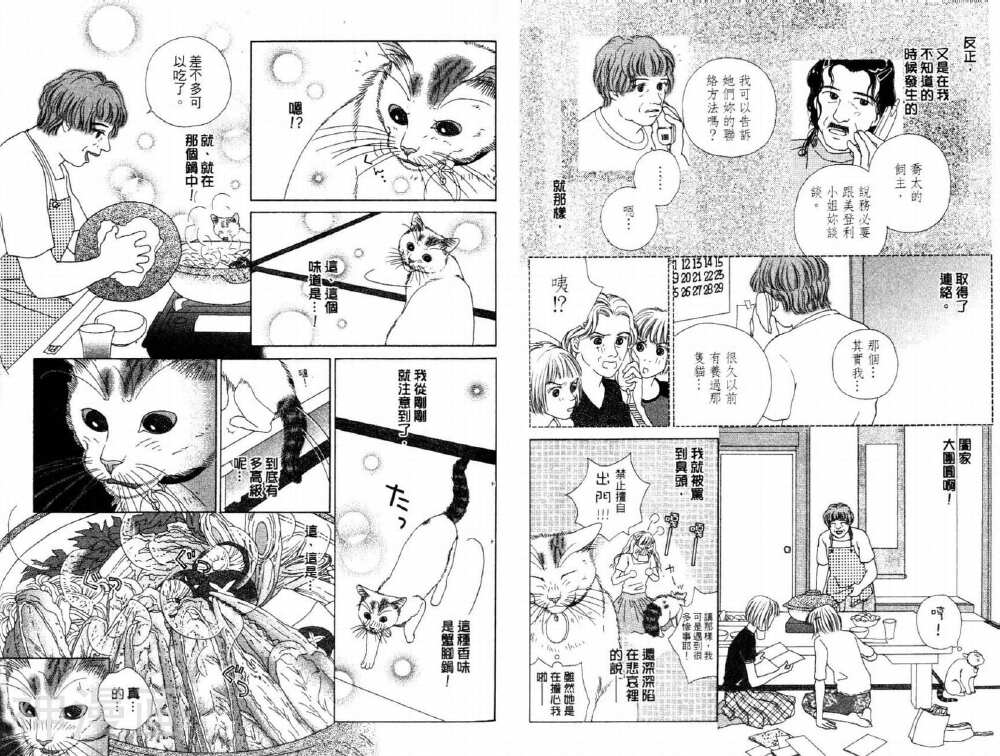 茶茶的日常生活韩漫全集-第6卷无删减无遮挡章节图片 