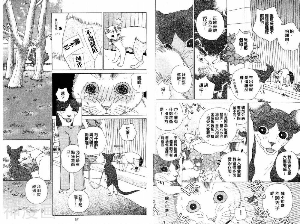 茶茶的日常生活韩漫全集-第6卷无删减无遮挡章节图片 