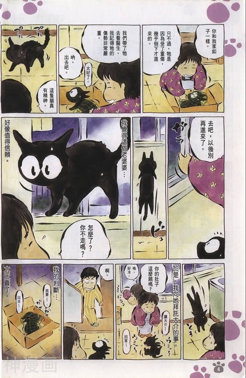 酷猫小黑的生活日记韩漫全集-第07卷无删减无遮挡章节图片 