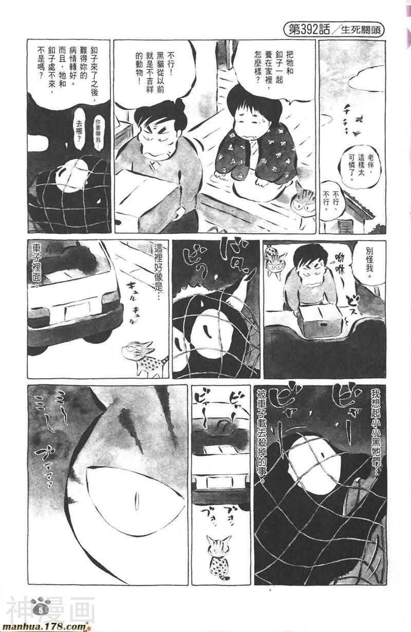 酷猫小黑的生活日记韩漫全集-第07卷无删减无遮挡章节图片 