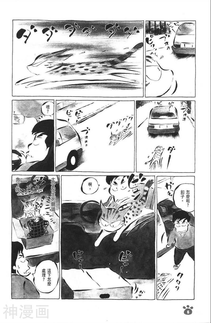 酷猫小黑的生活日记韩漫全集-第07卷无删减无遮挡章节图片 