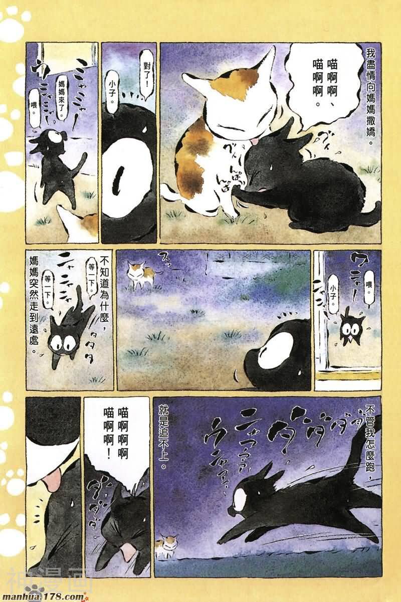 酷猫小黑的生活日记韩漫全集-第08卷无删减无遮挡章节图片 