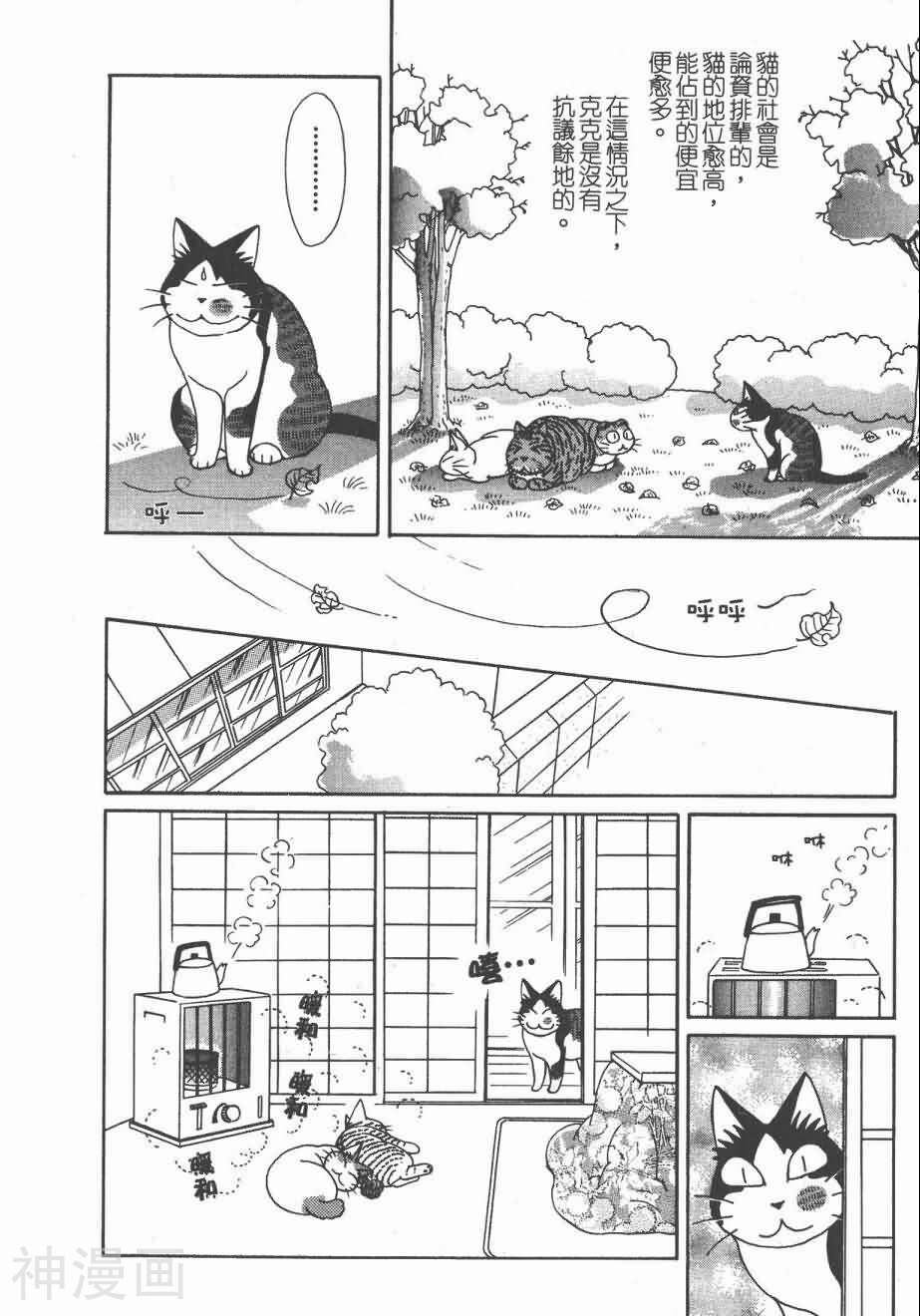 猫猫克克韩漫全集-第4卷无删减无遮挡章节图片 