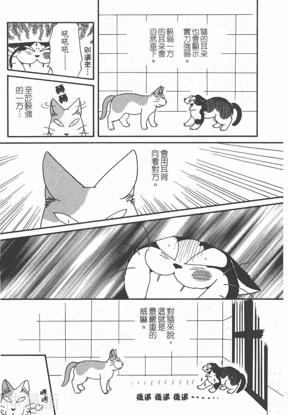 猫猫克克韩漫全集-第4卷无删减无遮挡章节图片 
