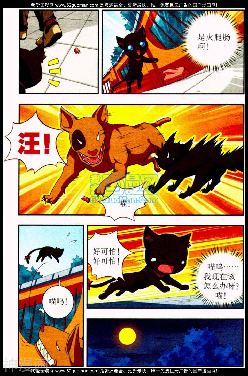猫的诱惑-流浪的行迹全彩韩漫标签