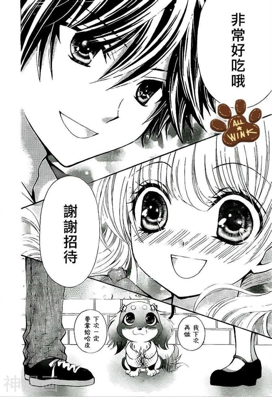 巧克力小狗韩漫全集-第1话无删减无遮挡章节图片 