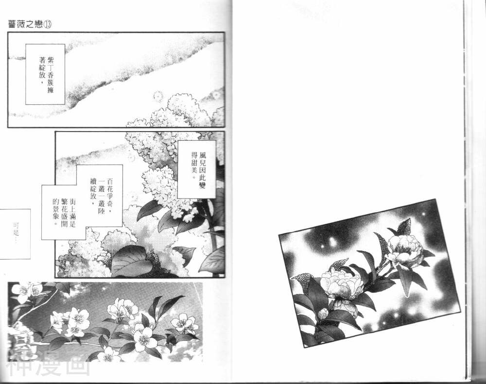 蔷薇之恋-第13卷全彩韩漫标签