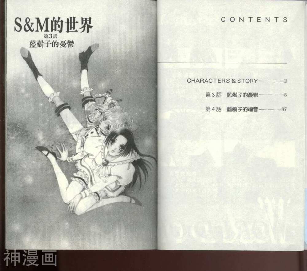 S&M的世界-第2卷全彩韩漫标签