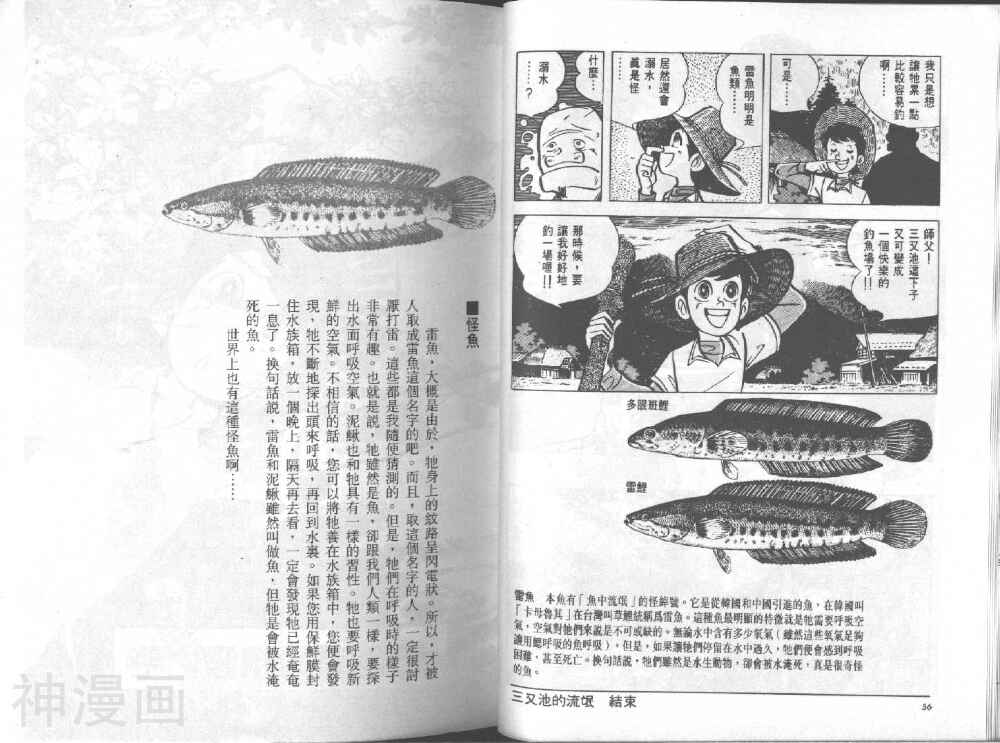 天才小钓手韩漫全集-第12卷无删减无遮挡章节图片 